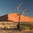 A Voice In The Desert is anonymous